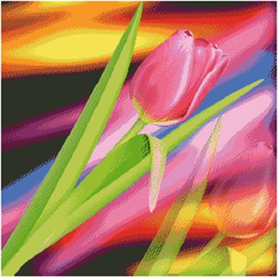 (image for) Tulip Fractal